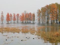 -四明湖