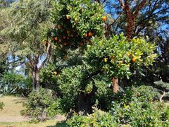 -洱海月湿地公园