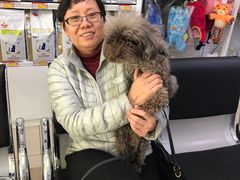 -宠颐生中康贝怡动物医院
