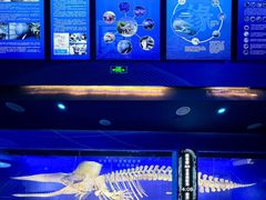 -厦门海底世界