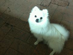 android_upload_pic-宏光宠物医院(解放东路店)