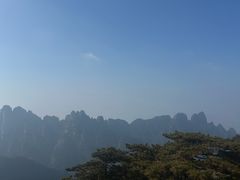 -黄山排云型旅酒店餐厅