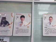 -全心全意连锁动物医院·微创中心·内科急重症·心脏专科(丰管路店)