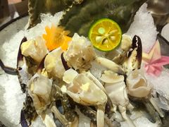 -尚海豆捞(乐虹坊店)