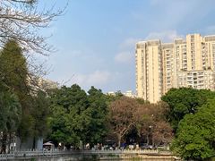 -荔湾湖公园