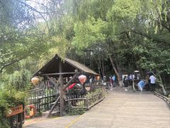 -天目湖山水园
