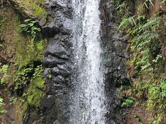 -马峦山郊野公园