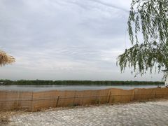-白洋淀景区