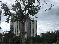 -三亚湾海居铂尔曼度假酒店