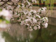 -海棠花溪(元大都城垣遗址公园)