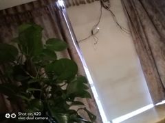 -都悦君豪足浴推拿(华府大道店)