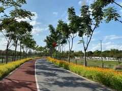 -上海长兴岛郊野公园