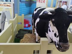 -红星前进面包牛奶公司(君太店)