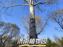 -济南植物园
