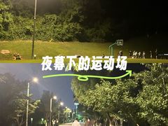 -羊山湖公园