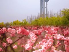 -北京奥林匹克公园