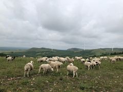 -塞罕坝国家级自然保护区