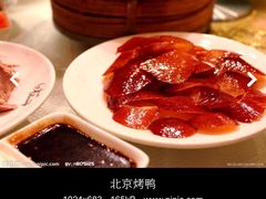 新辣道鱼火锅(欧美汇店)-新辣道鱼火锅(领展购物广场·中关村店)