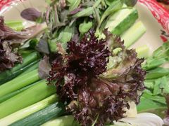 -万里闯关东铁锅炖菜馆(高新旗舰店)