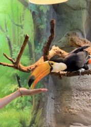 -Zoolung Zoolung动物主题公园(海信广场店)