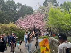 -西安青龙寺遗址景区