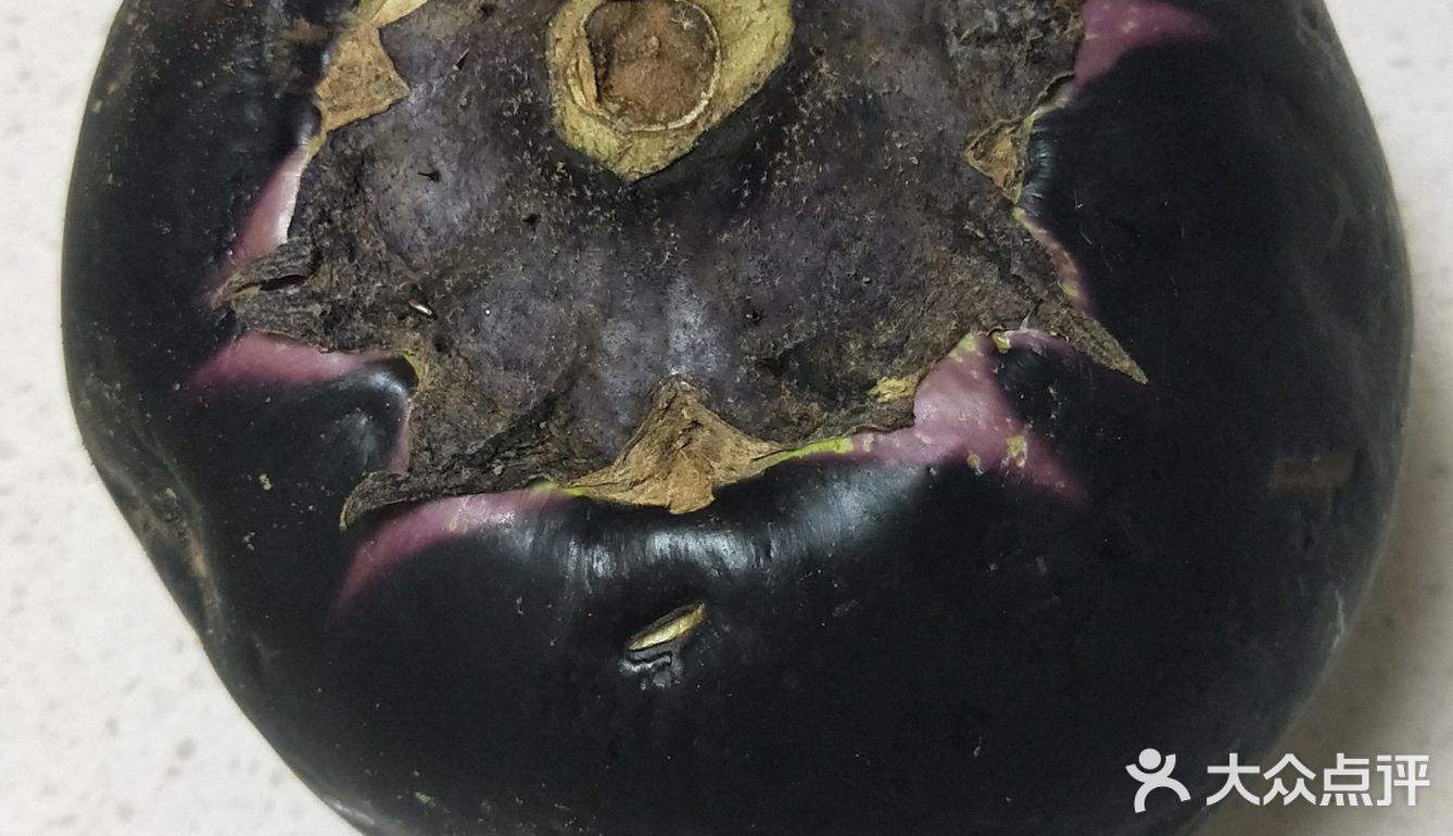好吃易做的夏季时令菜品烧茄子