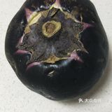 好吃易做的夏季时令菜品烧茄子