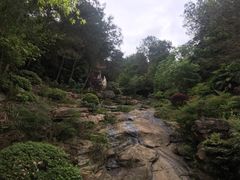 -铁山坪森林公园