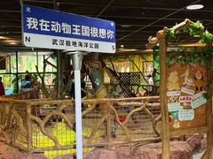 -海合安武汉极地海洋公园