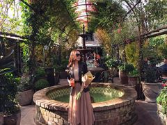 -The Grounds of Alexandria