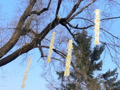 -哈尔滨极乐寺