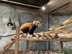 -Zoolung Zoolung动物主题公园(海信广场店)