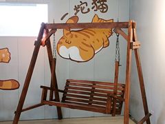 -豆逗聊愈猫阁Easy Life