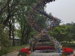 -北京麋鹿生态实验中心