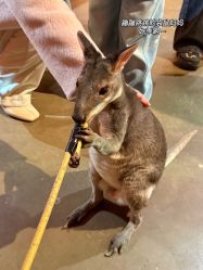 -Zoolung Zoolung动物主题公园(海信广场店)