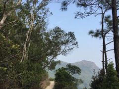 -狮子山郊野公园