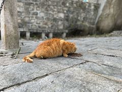 -北京凤凰岭
