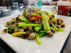 鱿鱼嘴-新楚记