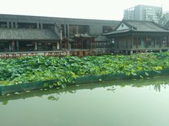android_upload_pic-龙潭水乡
