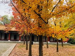 -终南山古楼观历史文化景区