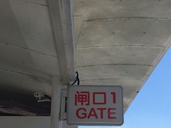 -海河游船-永乐码头(大悲院)