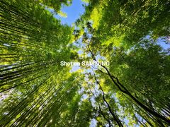 -三星授权体验店(西新街店)