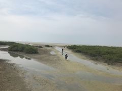 -北海金海湾红树林生态旅游区