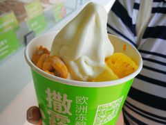 -Salud撒露欧洲冻酸奶(蓝色港湾店)