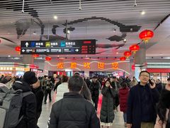 -成都东站-停车场