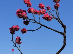 -无锡梅园公园
