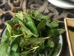 -缘生态云南菜·野生菌庭院餐厅(华侨城店)