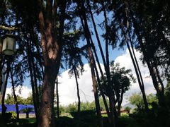 -南诏风情岛
