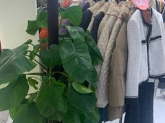 -巴黎春天(浦建店)