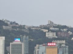 -星光大道